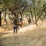 wilderness therapy program